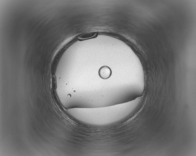 X0000063461317200602101704