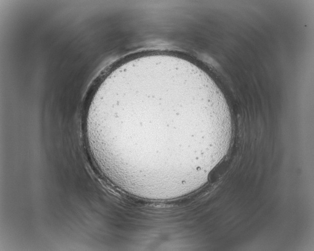 X0000063461318200602101704