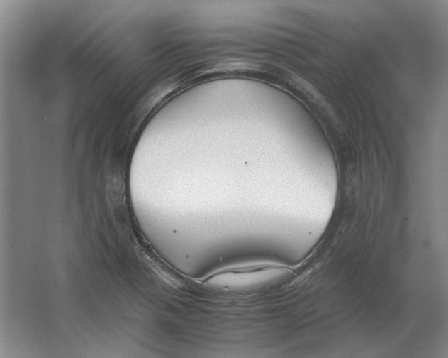 X0000063461321200602101704