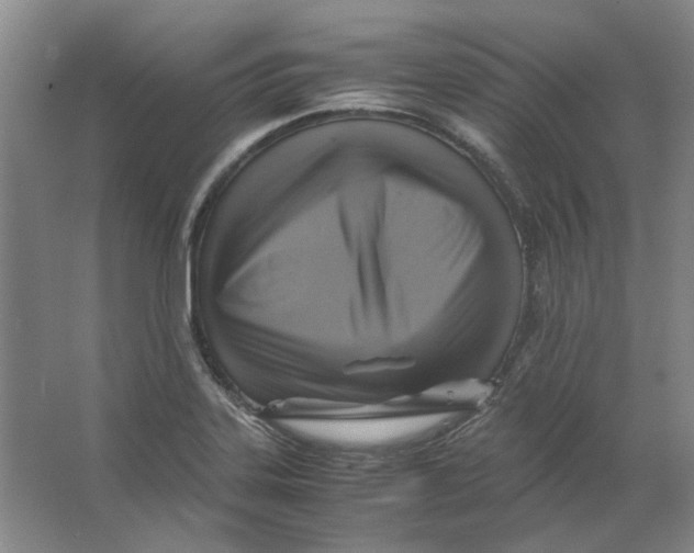 X0000063461323200602101704