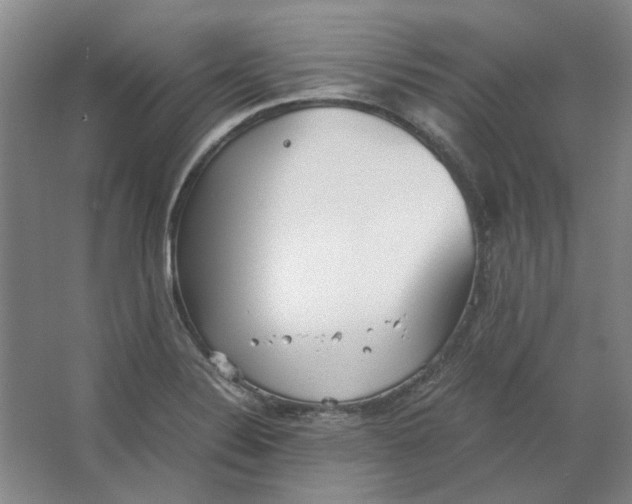 X0000063461324200602101704