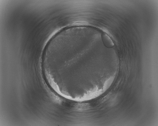 X0000063461325200602101704