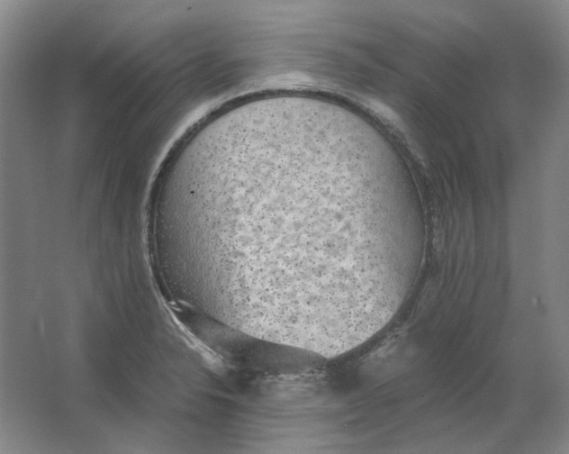 X0000063461326200602101704