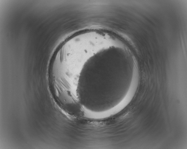 X0000063461327200602101704