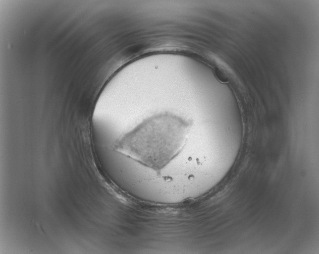 X0000063461329200602101704