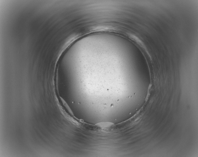 X0000063461330200602101704