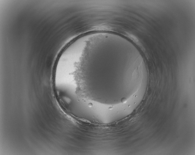 X0000063461331200602101704