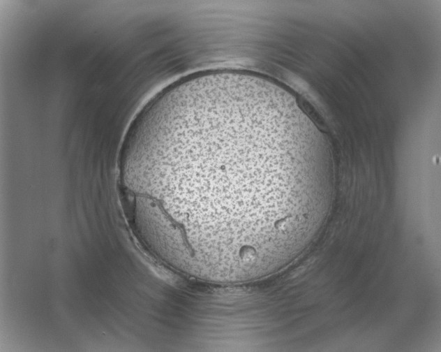 X0000063461332200602101704