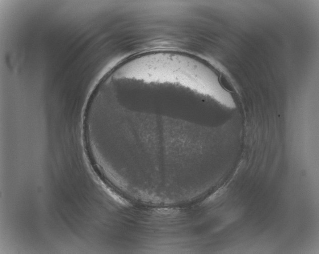 X0000063461333200602101704