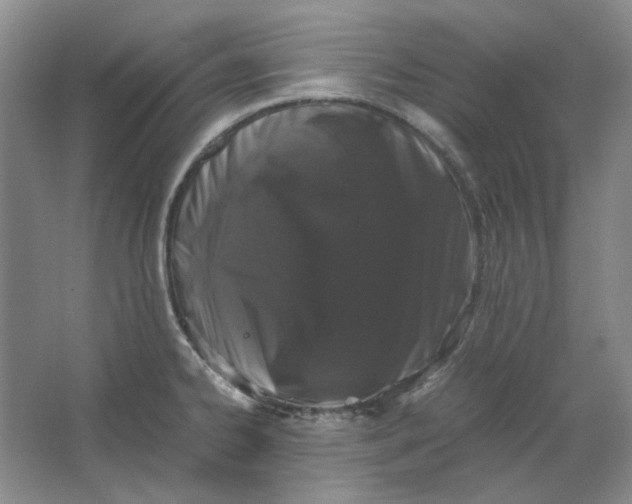 X0000063461334200602101704