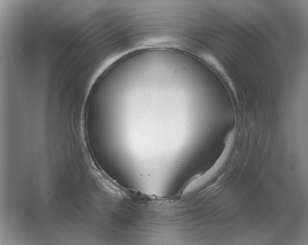 X0000063461336200602101704