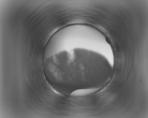 X0000063461337200602101704