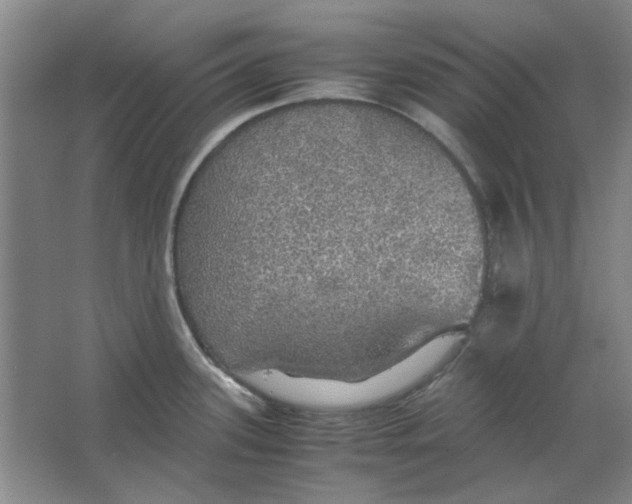 X0000063461339200602101704