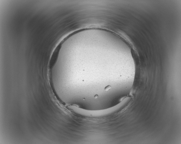 X0000063461340200602101704