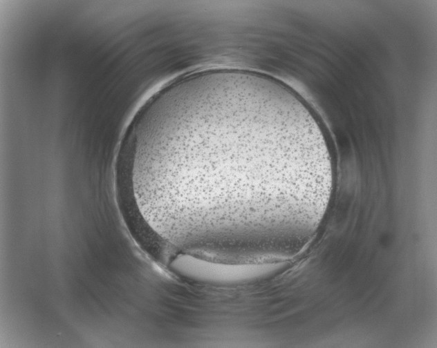 X0000063461341200602101704