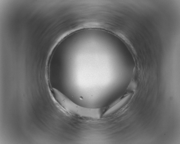 X0000063461342200602101704