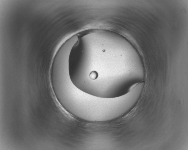 X0000063461344200602101704