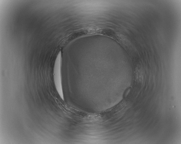 X0000063461346200602101704