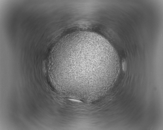 X0000063461347200602101704