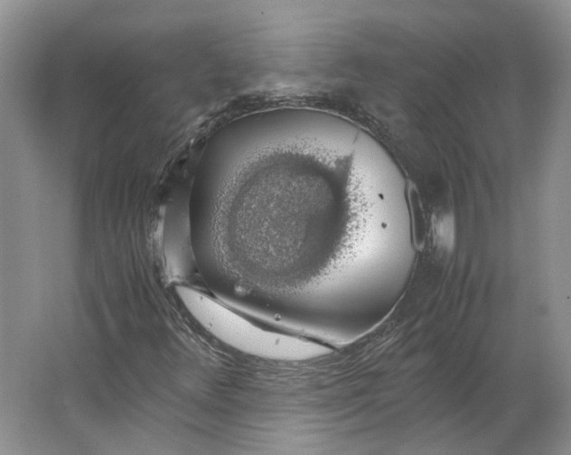 X0000063461348200602101704