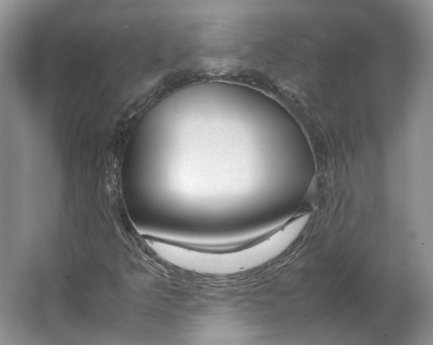 X0000063461349200602101704