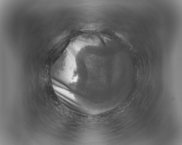 X0000063461350200602101704