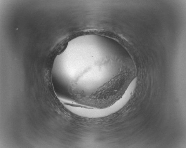 X0000063461351200602101704