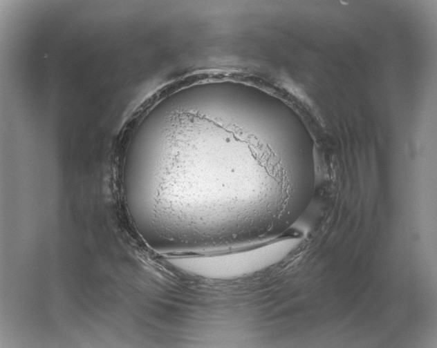 X0000063461352200602101703