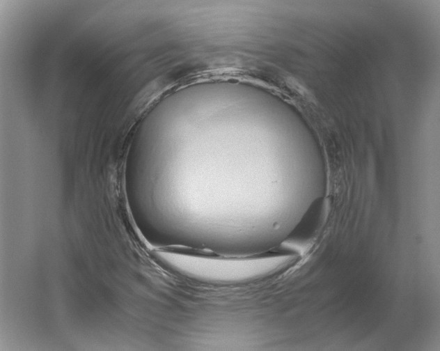 X0000063461353200602101703