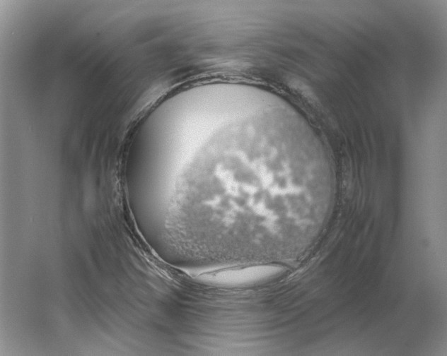 X0000063461354200602101703