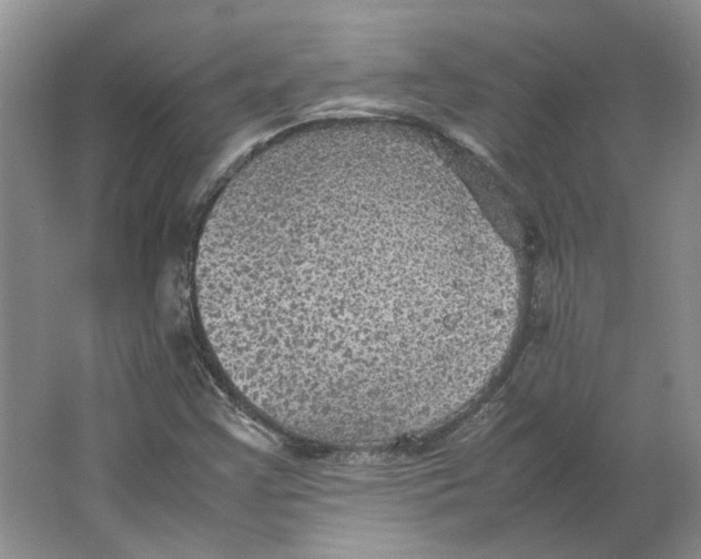 X0000063461355200602101703