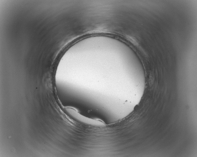 X0000063461356200602101703