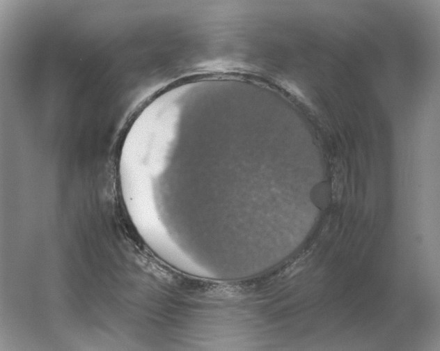 X0000063461358200602101703