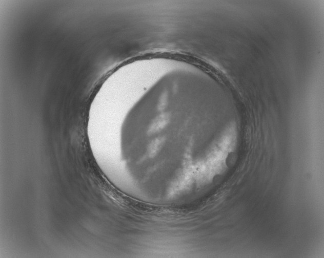 X0000063461359200602101703