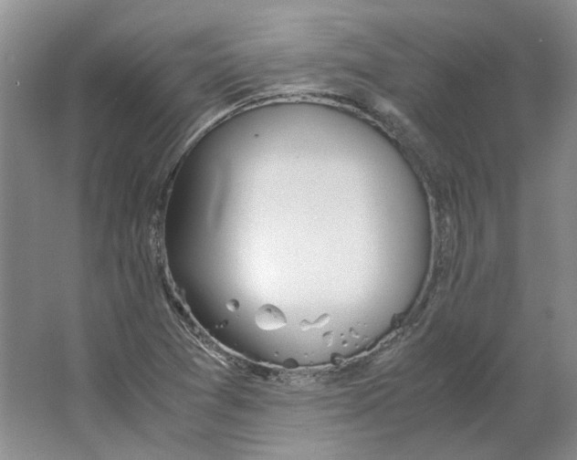 X0000063461361200602101703