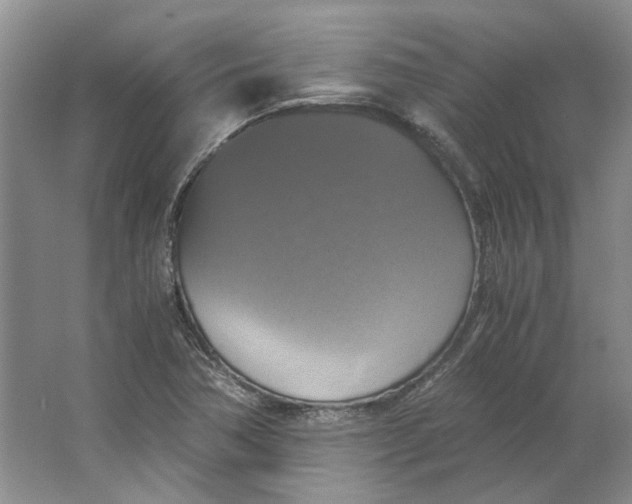 X0000063461362200602101703