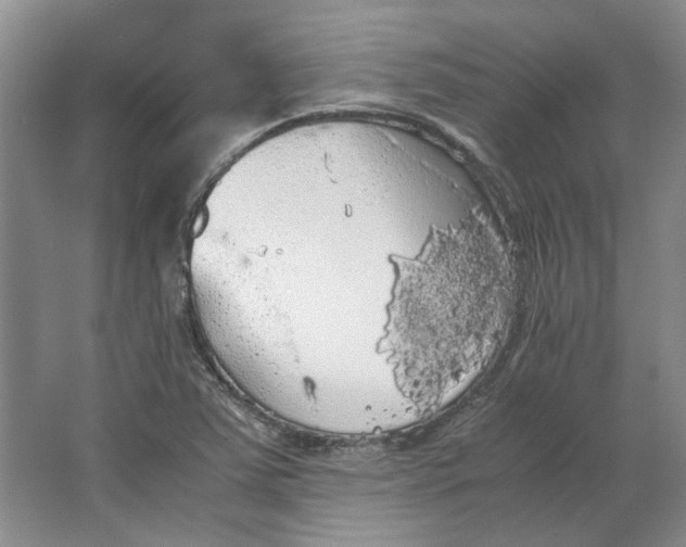 X0000063461363200602101703