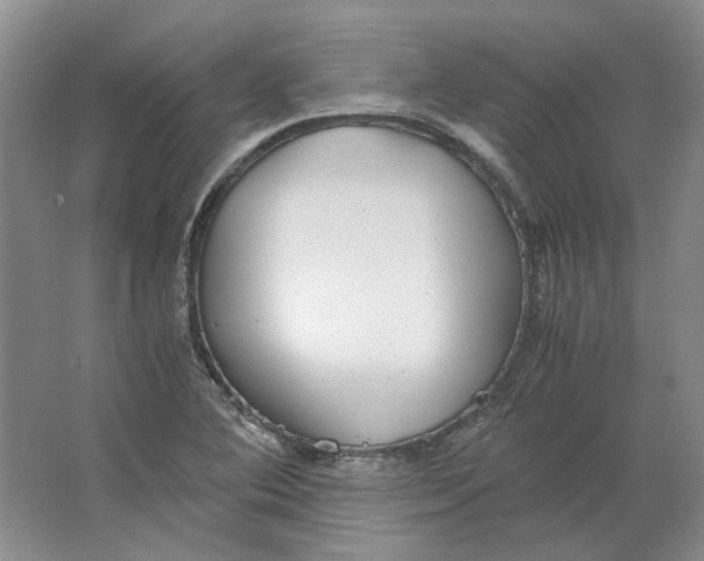 X0000063461364200602101703