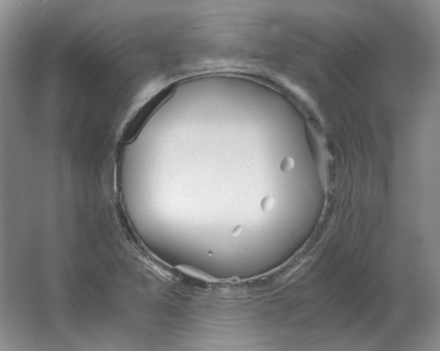 X0000063461365200602101703