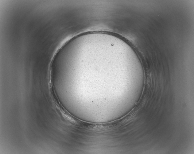 X0000063461366200602101703