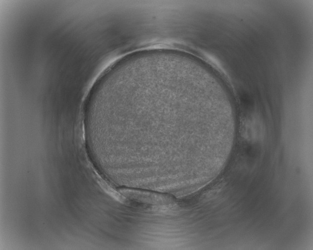 X0000063461368200602101703