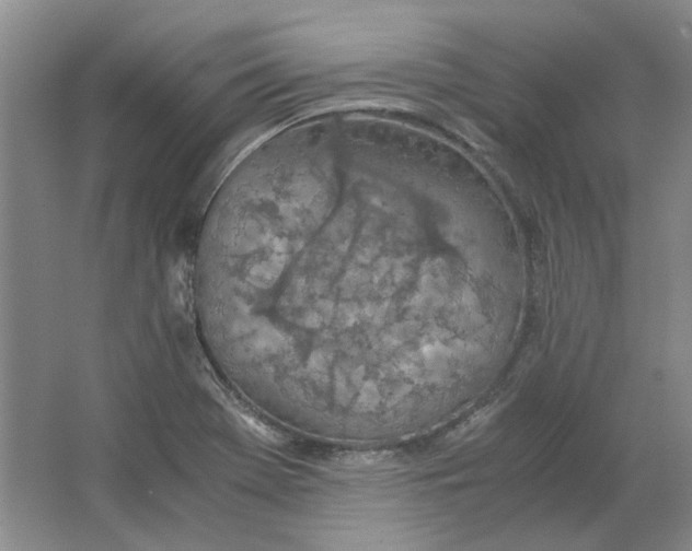 X0000063461369200602101703