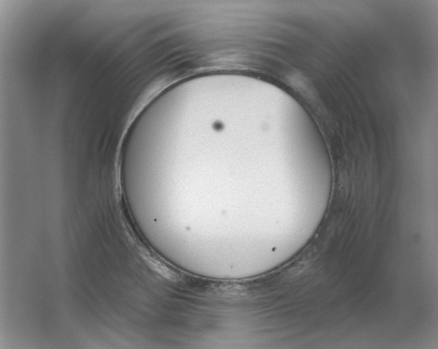 X0000063461370200602101703