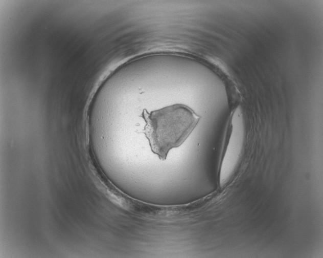 X0000063461371200602101703