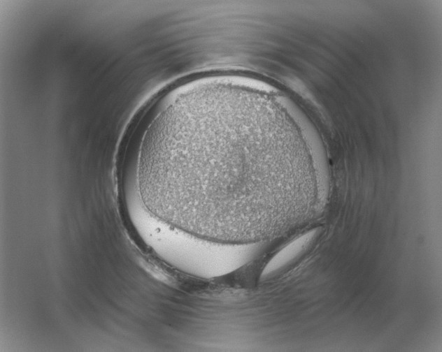 X0000063461372200602101703