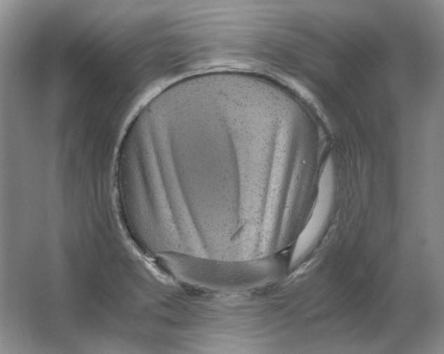 X0000063461373200602101703