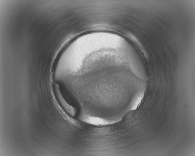 X0000063461376200602101703