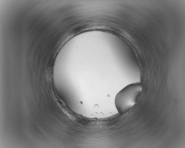 X0000063461377200602101703