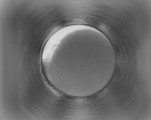 X0000063461378200602101703