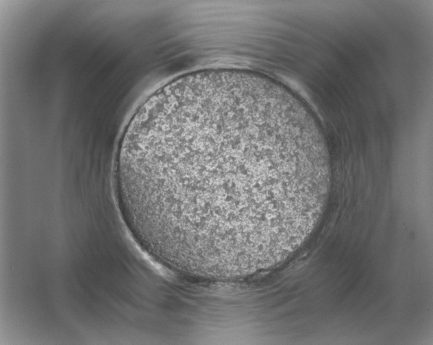 X0000063461379200602101703